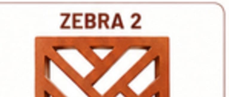 Zebra 2 Jali Brick