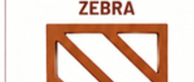 Zebra Jali Brick